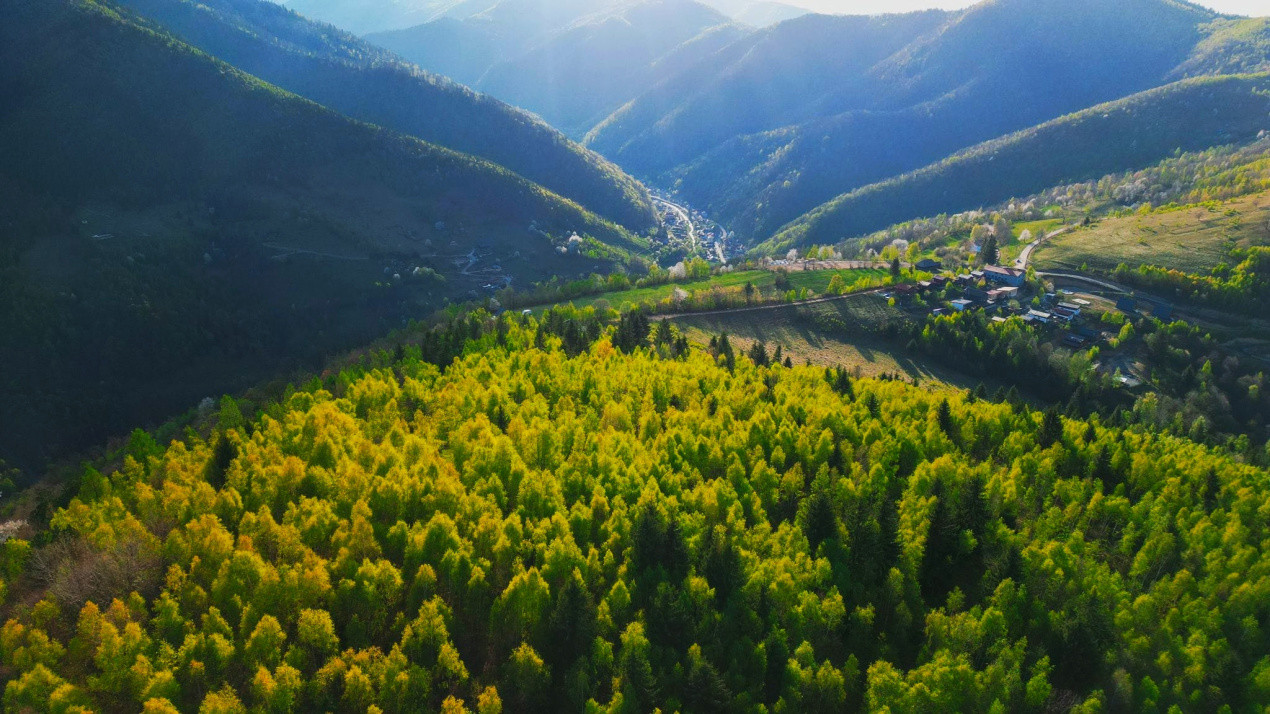 Cabana de vânzare – o oază de liniște în Munții Apuseni – Valea Ierii, jud. Cluj