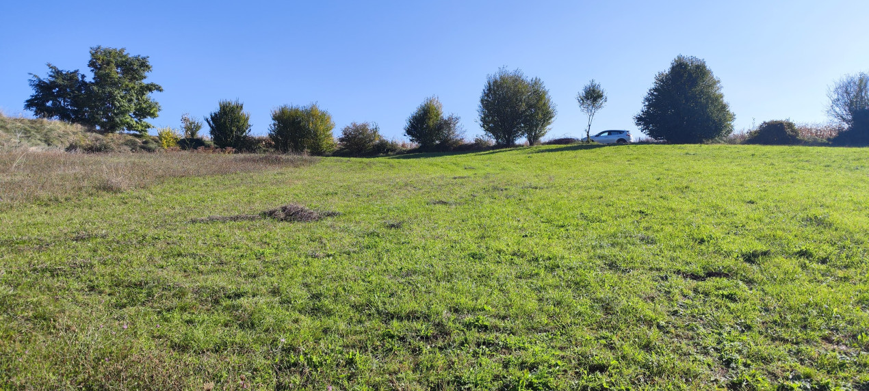 Teren extravilan, 4042 m2, Str. Lombului, Cluj-Napoca
