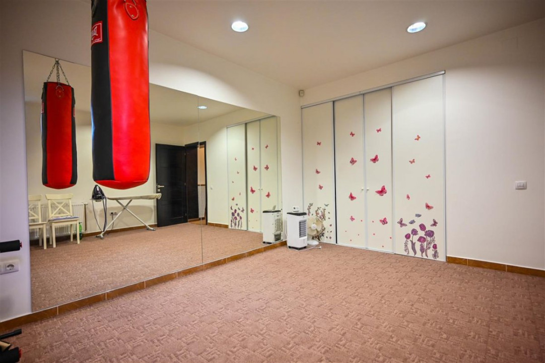 Somptuozitate in stil modern, 2 garaje, 3 terase, totul pe 1.000 mp teren, Central, Sacele, Brasov