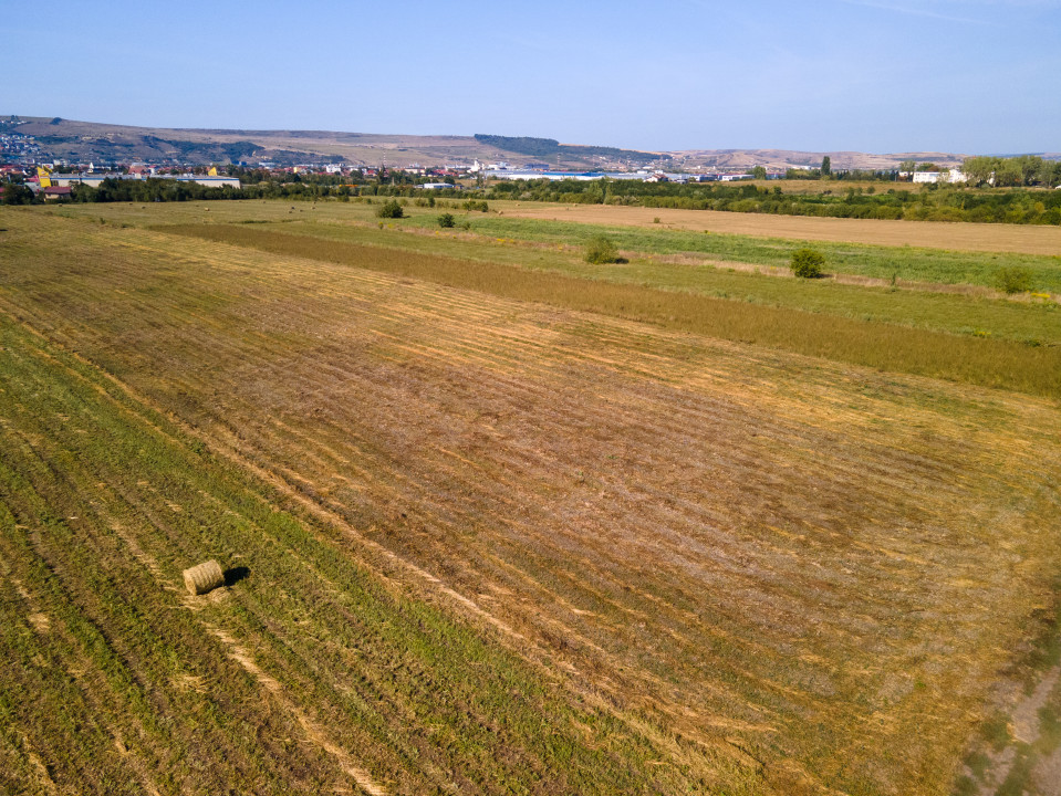 Teren intravilan, 2.800 m2, Cluj-Napoca