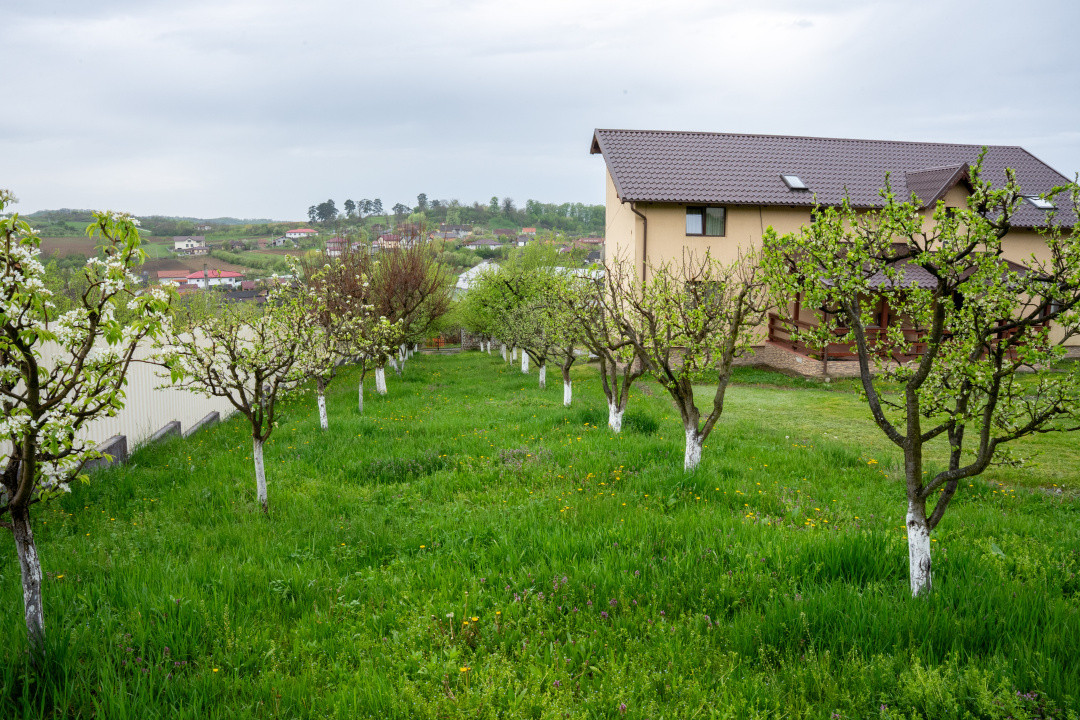 Proprietate unică, în zonă verde și liniștita