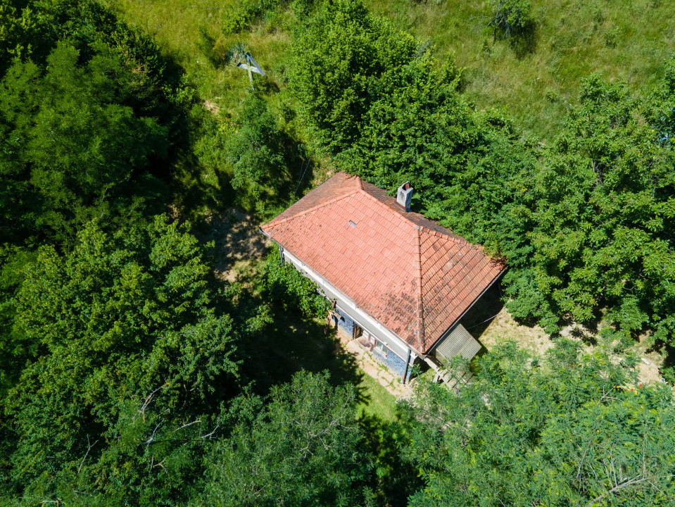 Proprietate cu potențial turistic, în zona Negreni – Bucea, jud. Cluj